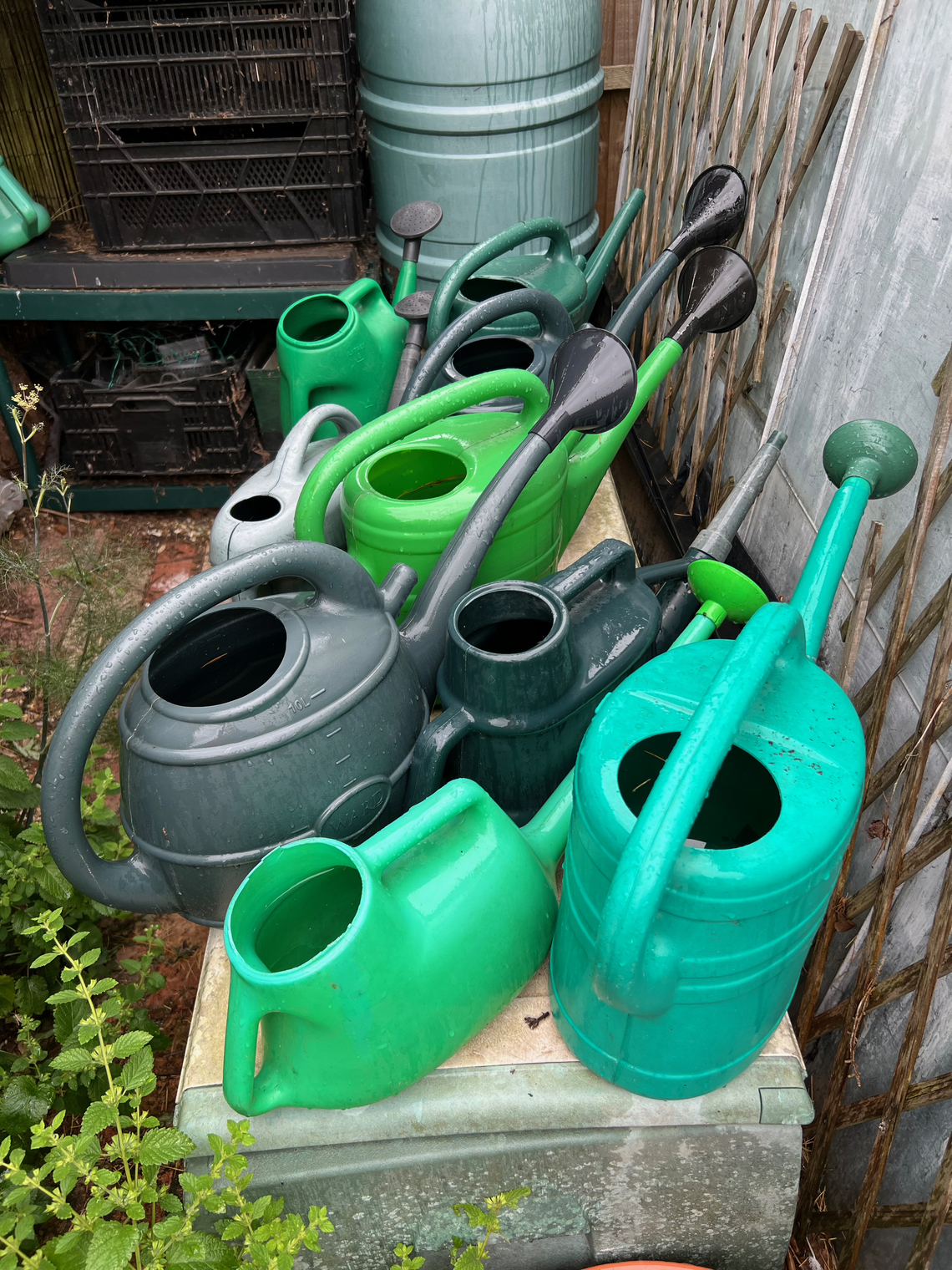 Garden Visit 02